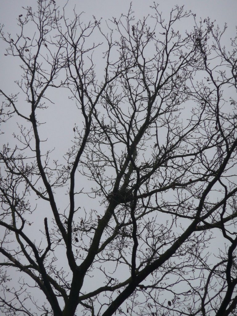 P1280496 [Résolution de l'écran]